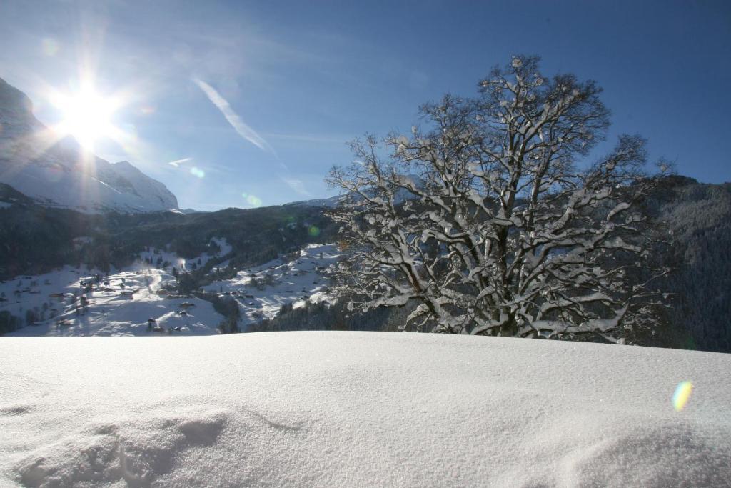Chalet Baergbaechli Grindelwald Esterno foto
