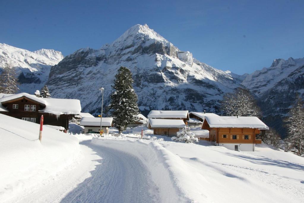 Chalet Baergbaechli Grindelwald Esterno foto