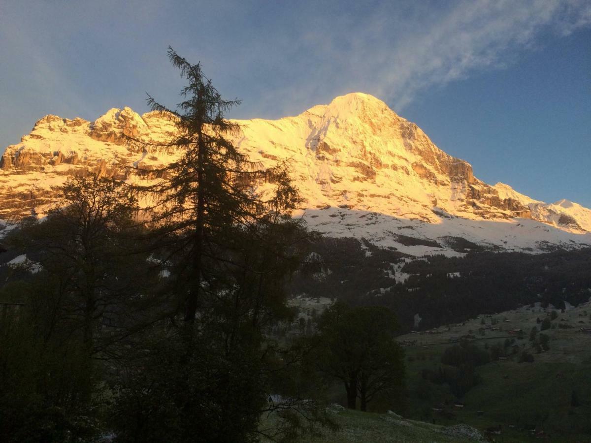 Chalet Baergbaechli Grindelwald Esterno foto